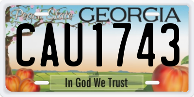 GA license plate CAU1743