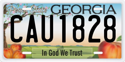 GA license plate CAU1828
