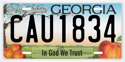 GA license plate CAU1834