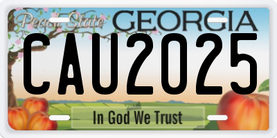 GA license plate CAU2025