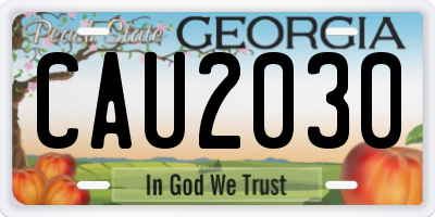 GA license plate CAU2030