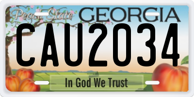 GA license plate CAU2034