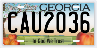 GA license plate CAU2036