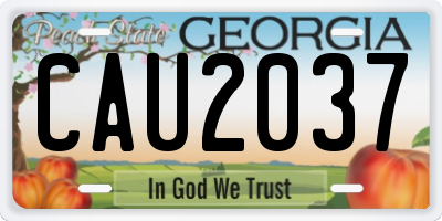GA license plate CAU2037
