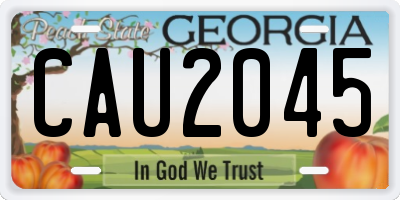 GA license plate CAU2045
