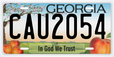 GA license plate CAU2054