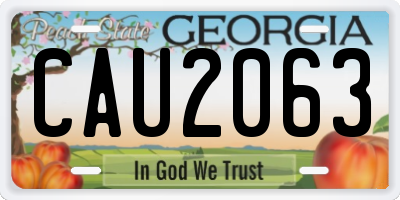 GA license plate CAU2063