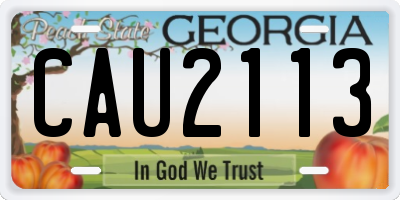 GA license plate CAU2113