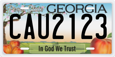 GA license plate CAU2123