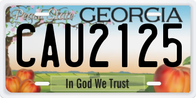 GA license plate CAU2125