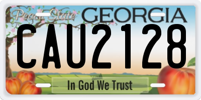 GA license plate CAU2128