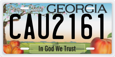 GA license plate CAU2161
