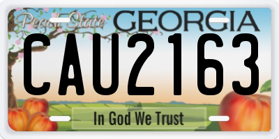 GA license plate CAU2163
