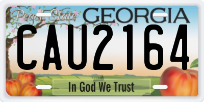 GA license plate CAU2164