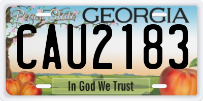 GA license plate CAU2183
