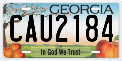 GA license plate CAU2184