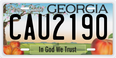 GA license plate CAU2190