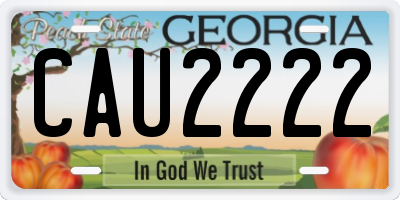 GA license plate CAU2222