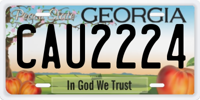 GA license plate CAU2224