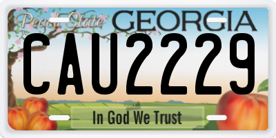 GA license plate CAU2229
