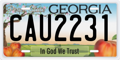 GA license plate CAU2231