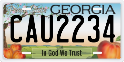 GA license plate CAU2234