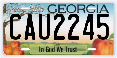 GA license plate CAU2245