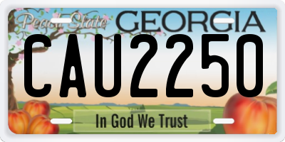 GA license plate CAU2250