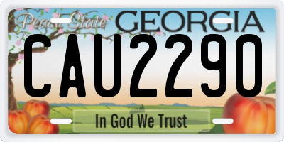GA license plate CAU2290