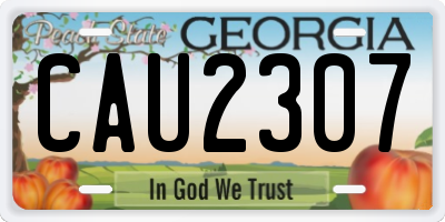 GA license plate CAU2307
