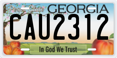 GA license plate CAU2312