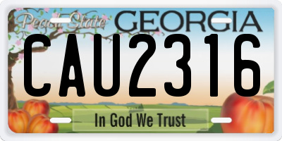 GA license plate CAU2316