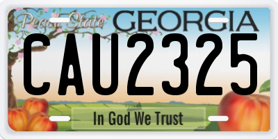 GA license plate CAU2325