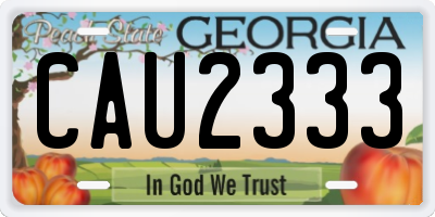 GA license plate CAU2333