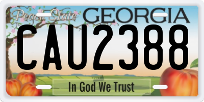 GA license plate CAU2388