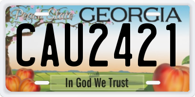 GA license plate CAU2421