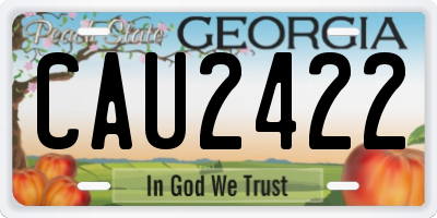 GA license plate CAU2422