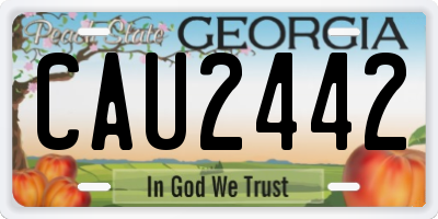 GA license plate CAU2442
