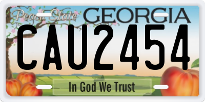 GA license plate CAU2454