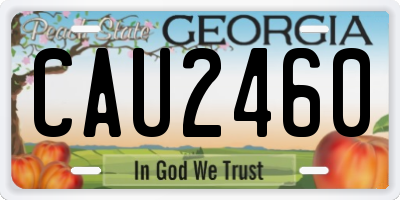 GA license plate CAU2460