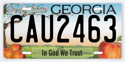 GA license plate CAU2463