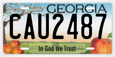 GA license plate CAU2487
