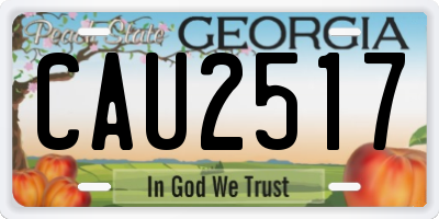 GA license plate CAU2517