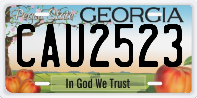 GA license plate CAU2523