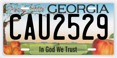 GA license plate CAU2529
