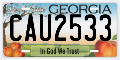GA license plate CAU2533