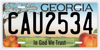 GA license plate CAU2534