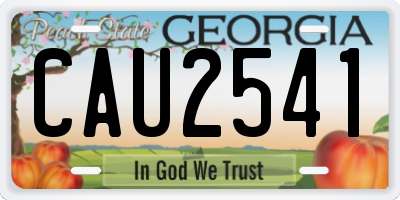 GA license plate CAU2541