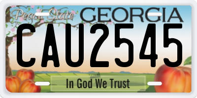 GA license plate CAU2545