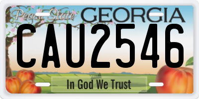 GA license plate CAU2546